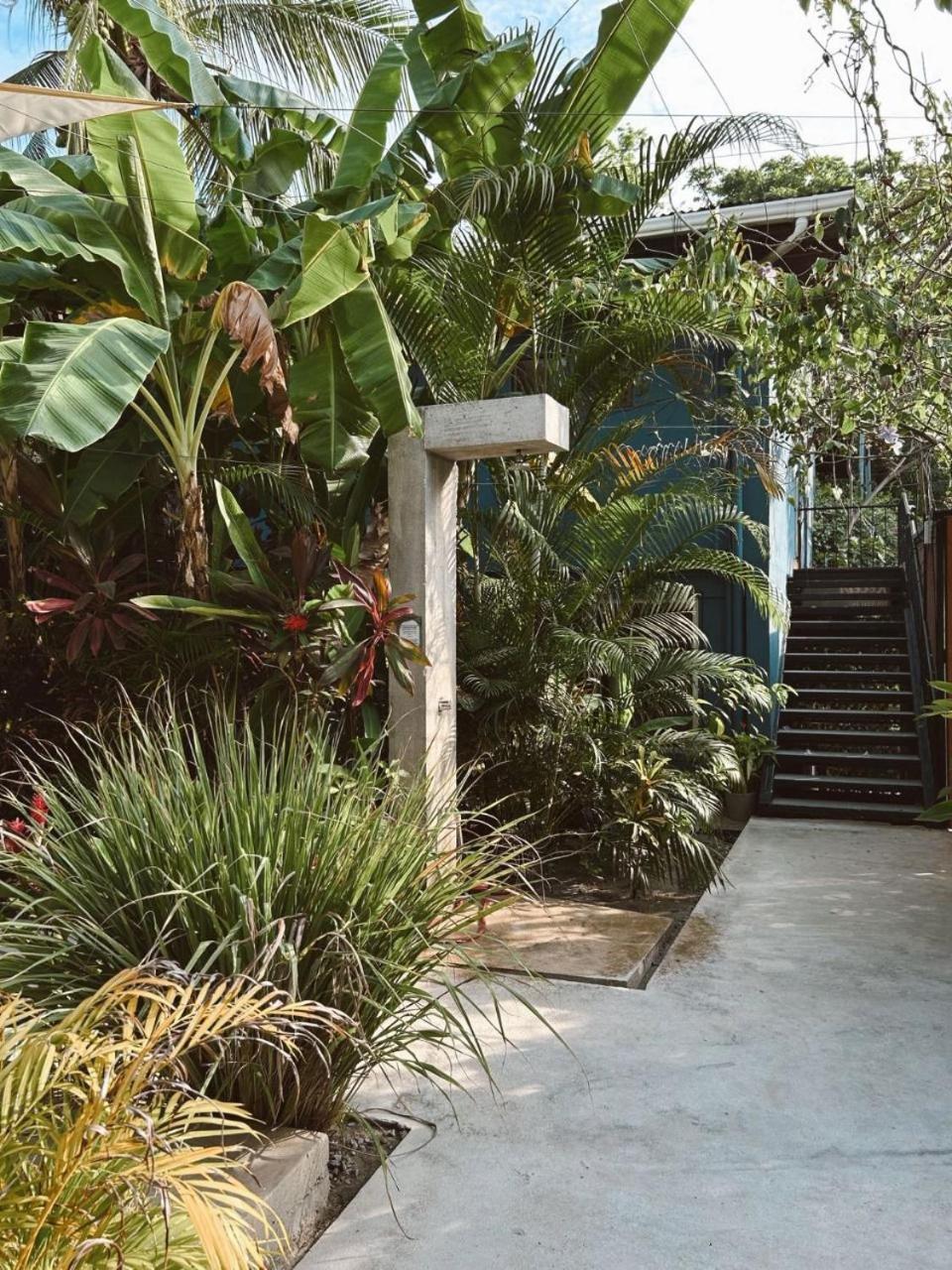 Hotel Point Break Santa Teresa à Playa Santa Teresa  Extérieur photo